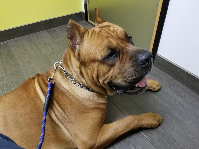 Banfield Pet Hospital 7