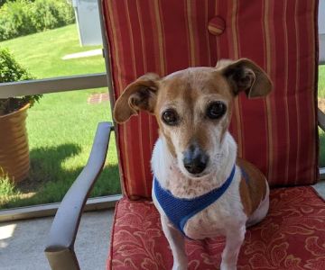 Banfield Pet Hospital