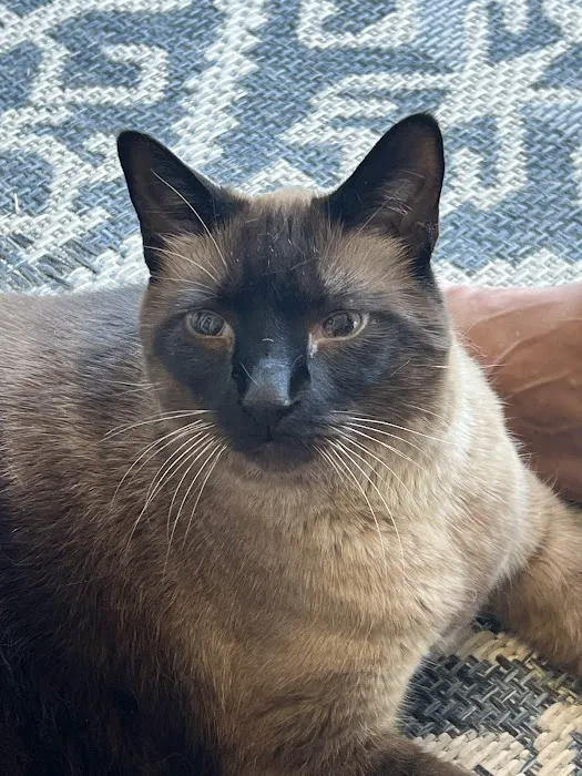 Parkwood Animal Hospital 8