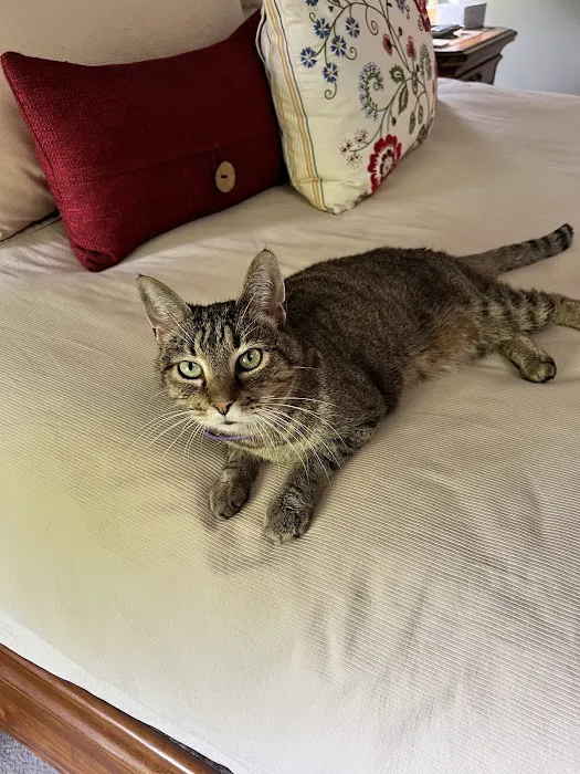 Parkwood Animal Hospital 3