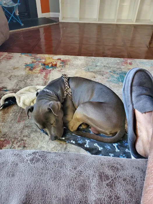 Tyson Animal Hospital 7