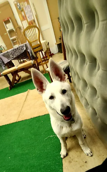 Triangle Veterinary Hospital 12