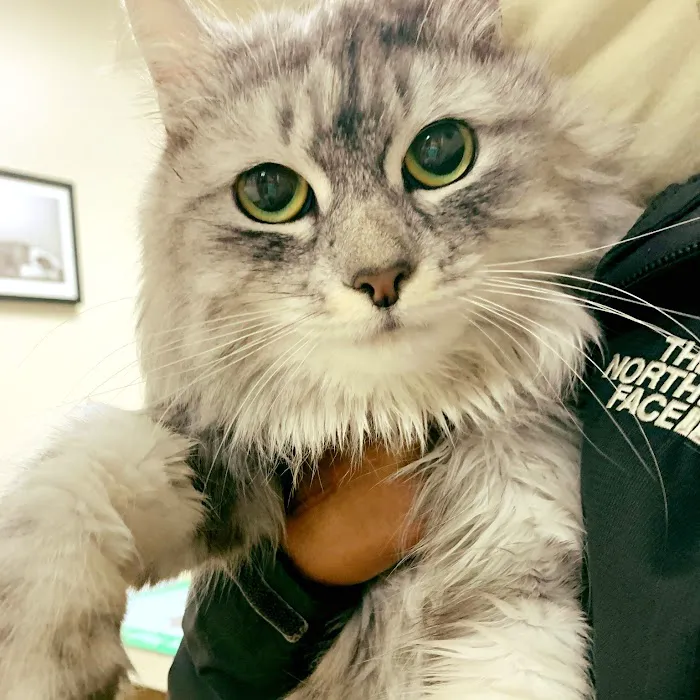 Town & Country Veterinary Hospital 9