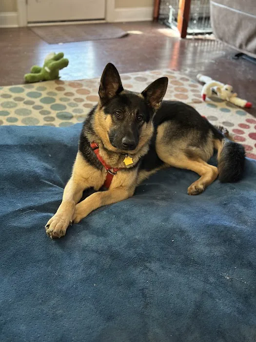 Shepherds Vineyard Animal Hospital 9