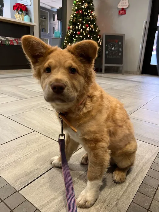 Harmony Animal Hospital 10