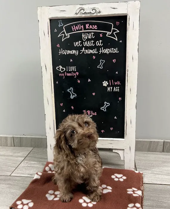 Harmony Animal Hospital 4