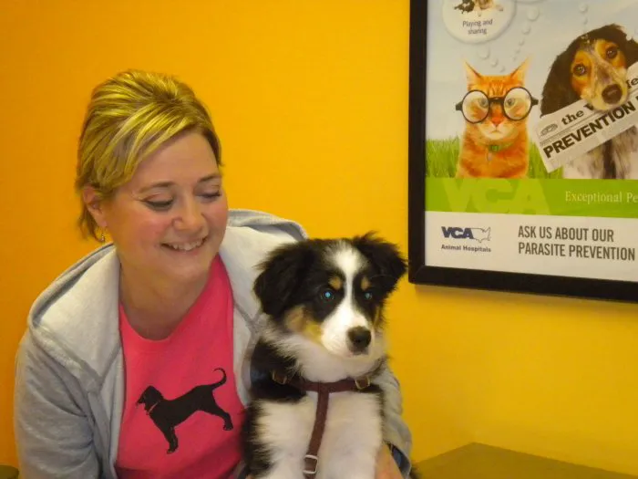 VCA Cornerstone Animal Hospital 3