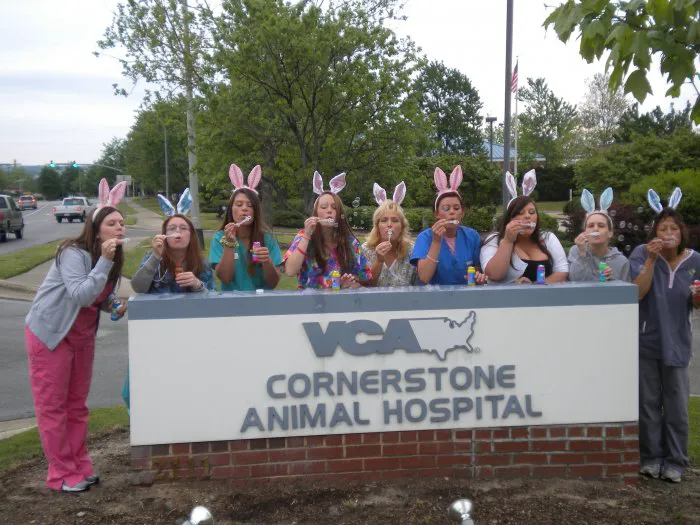 VCA Cornerstone Animal Hospital 2
