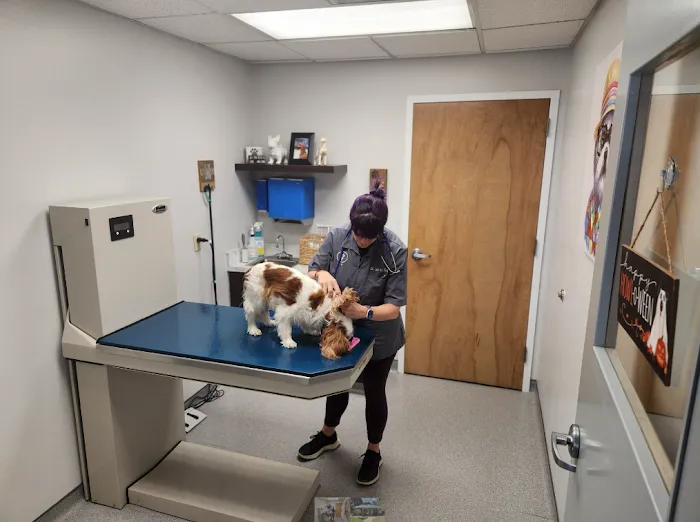 VCA Cornerstone Animal Hospital 9