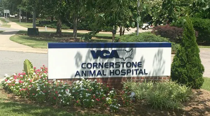 VCA Cornerstone Animal Hospital 5