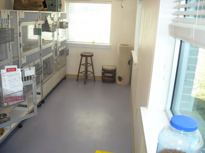 VCA Broad Street Animal Hospital 9