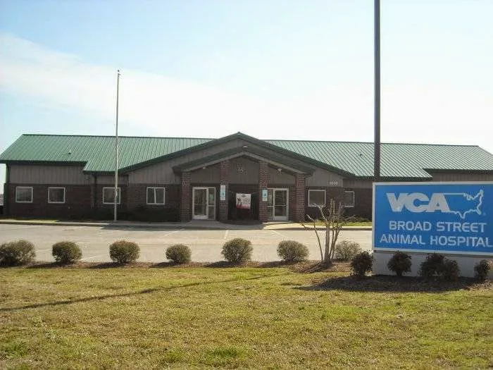 VCA Broad Street Animal Hospital 7