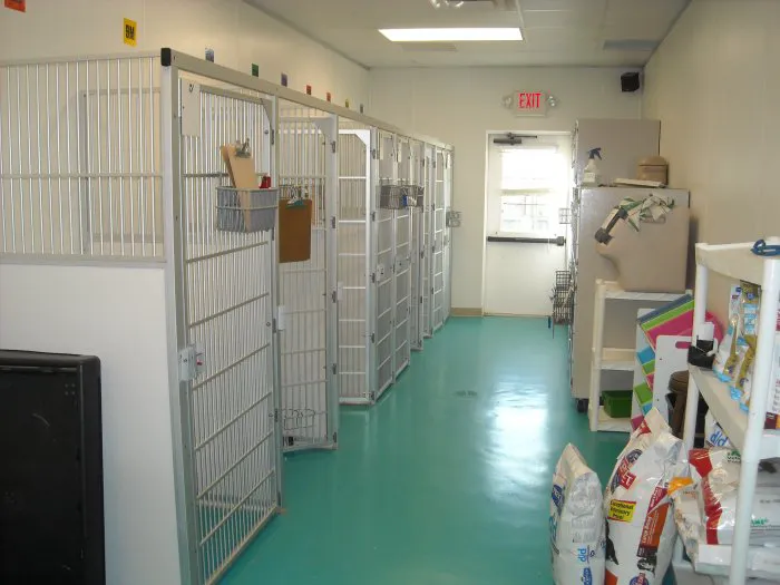 VCA Broad Street Animal Hospital 3