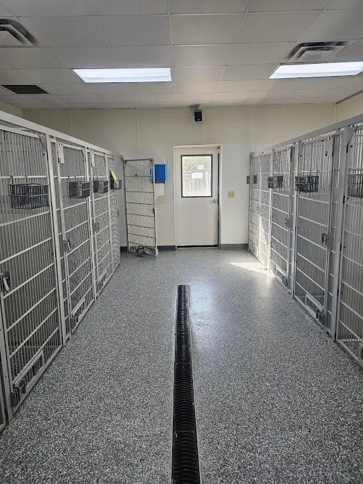 VCA Broad Street Animal Hospital 8