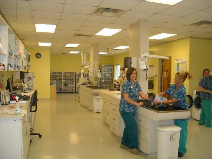 VCA Broad Street Animal Hospital 6