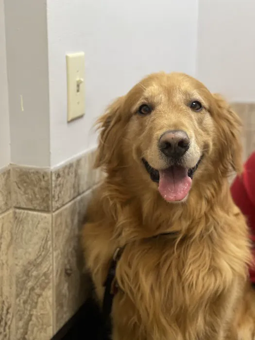 VCA Broad Street Animal Hospital 5