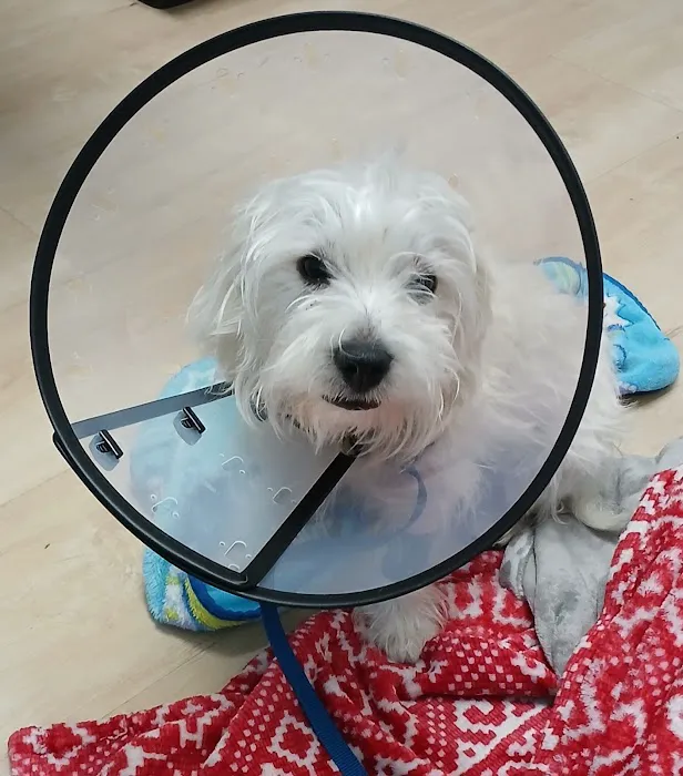 Grace Animal Hospital 12