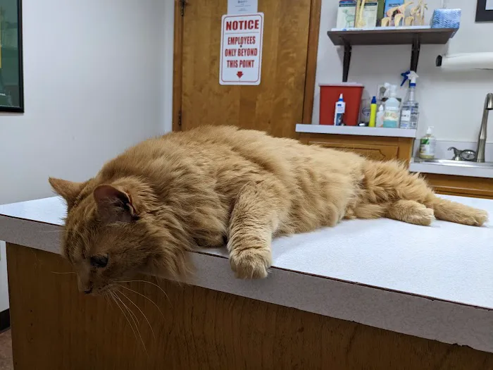 Fuquay Veterinary Hospital 2