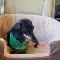 Fuquay Veterinary Hospital ico