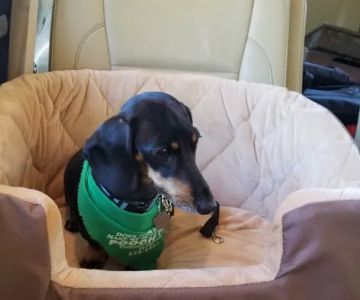 Fuquay Veterinary Hospital