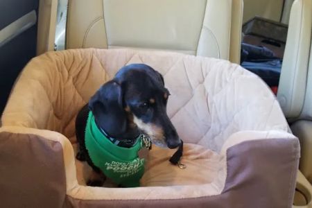 Fuquay Veterinary Hospital