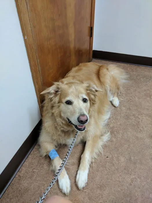 Fuquay Veterinary Hospital 8