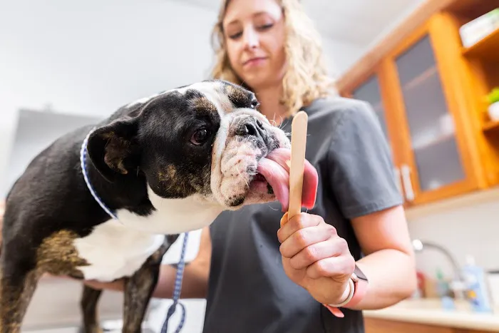Trinity Animal Hospital 12