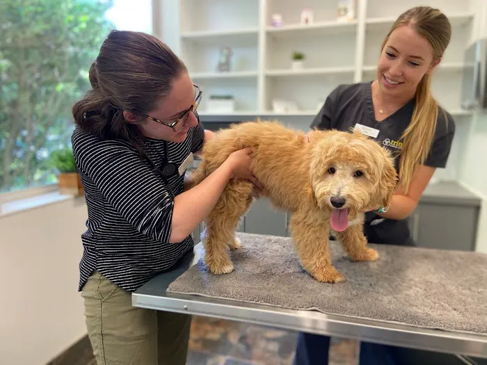 Trinity Animal Hospital 12