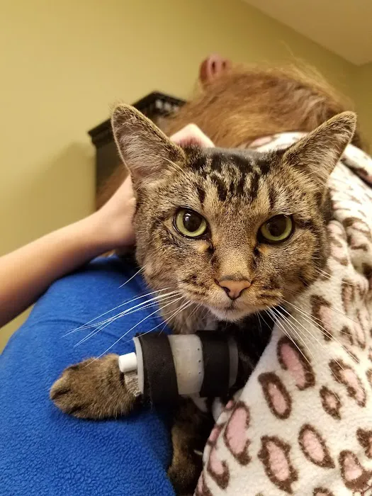 Hemlock Bluffs Animal Hospital 4