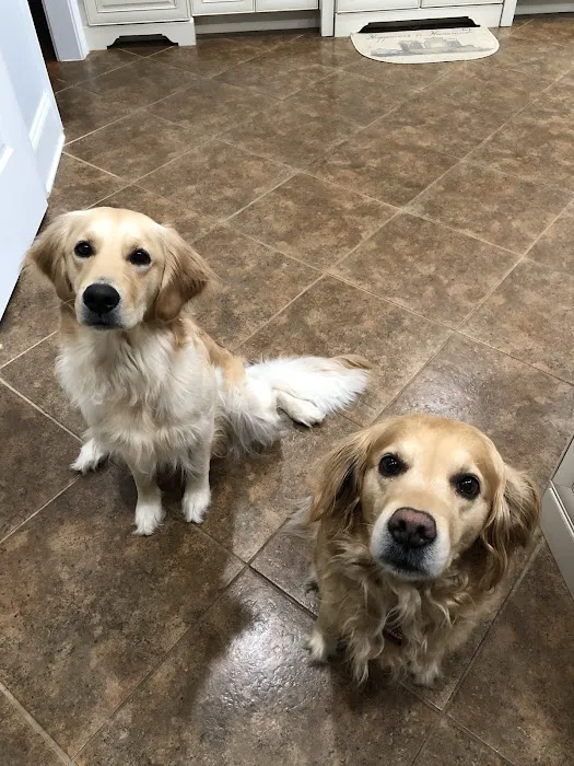 Hemlock Bluffs Animal Hospital 6