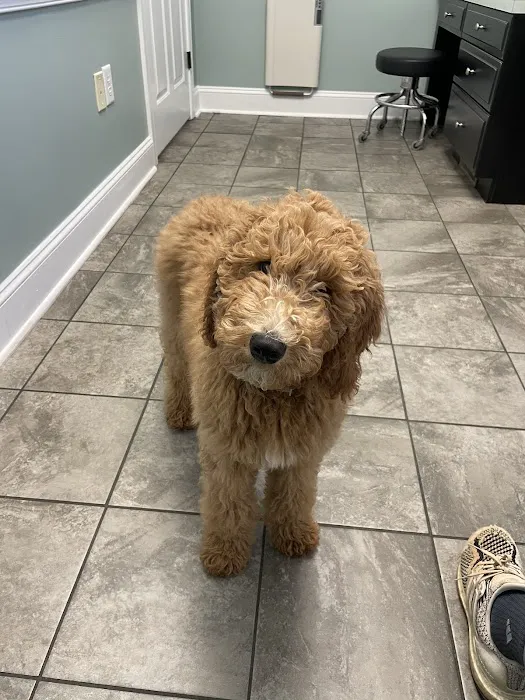 Hemlock Bluffs Animal Hospital 8