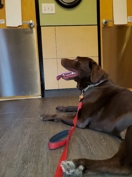 Banfield Pet Hospital 5