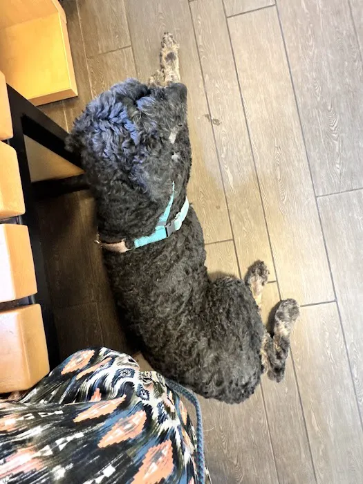 Banfield Pet Hospital 9