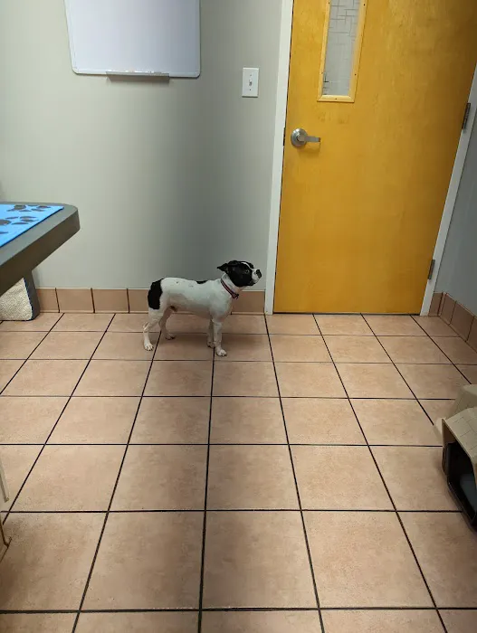 Gentle Care Animal Hospital at Ten Ten 3