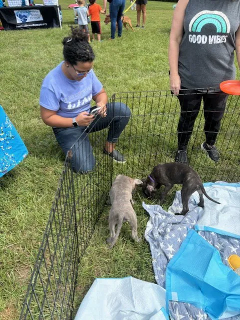 Gentle Care Animal Hospital at Ten Ten 10
