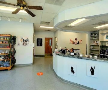 VCA Parkway Animal Hospital
