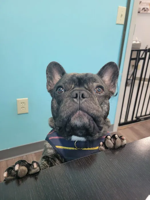 VCA Parkway Animal Hospital 5