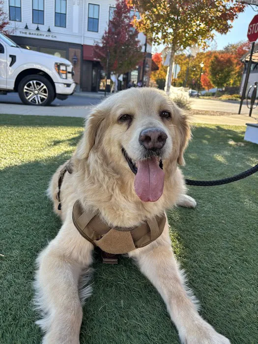 Truss Vet - Veterinary Urgent Care 10