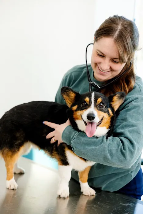 Truss Vet - Veterinary Urgent Care 9