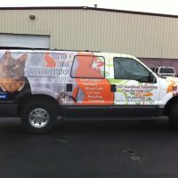 Cat Clinic of Cary ico