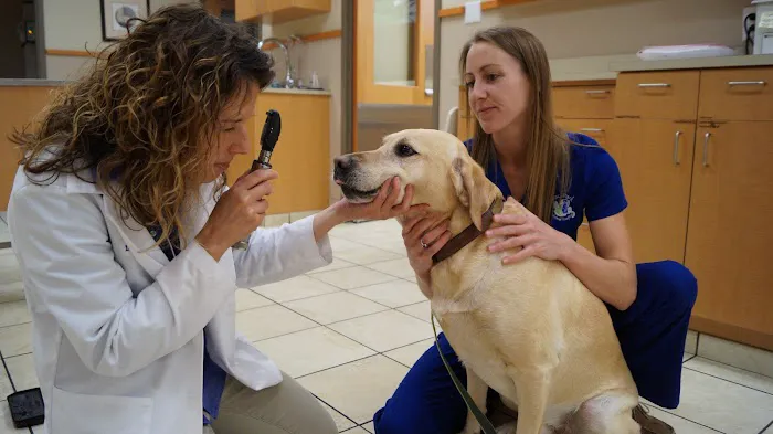 Grace Park Animal Hospital 10