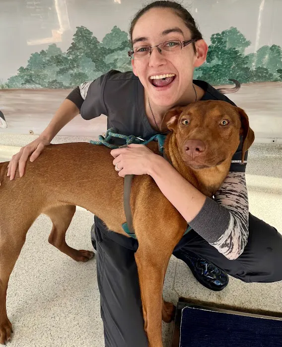 Chatham Animal Hospital 9