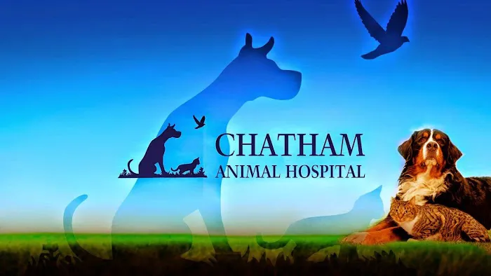 Chatham Animal Hospital 10