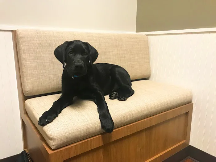 Shiloh Animal Hospital 8