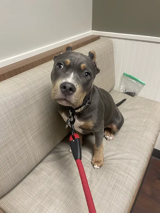 Shiloh Animal Hospital 1