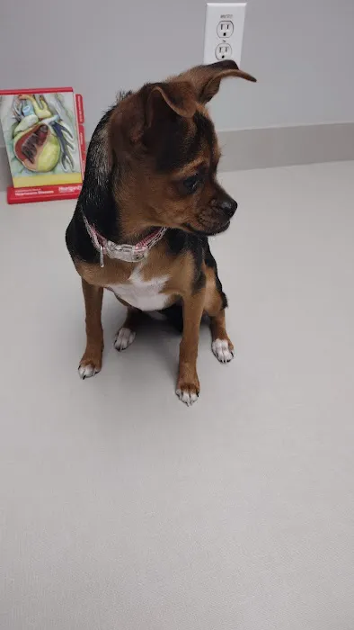 Riverbark Veterinary Hospital 4