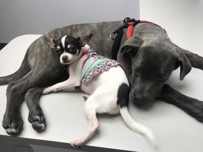 Riverbark Veterinary Hospital 1