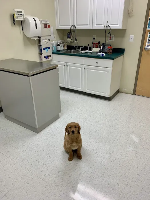 Veterinary Treatment Facility of Fort Bragg 7