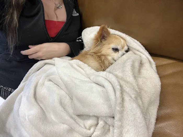 Points East Veterinary Emergency Hospital of Fayetteville 12