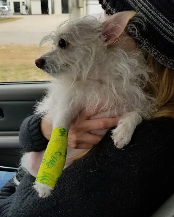 Dogwood Animal Hospital 12